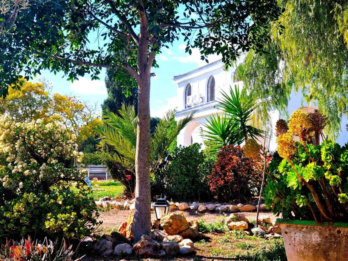 Chalet Alicante Sol Y Luz San Vicente Raspeig Zewnętrze zdjęcie