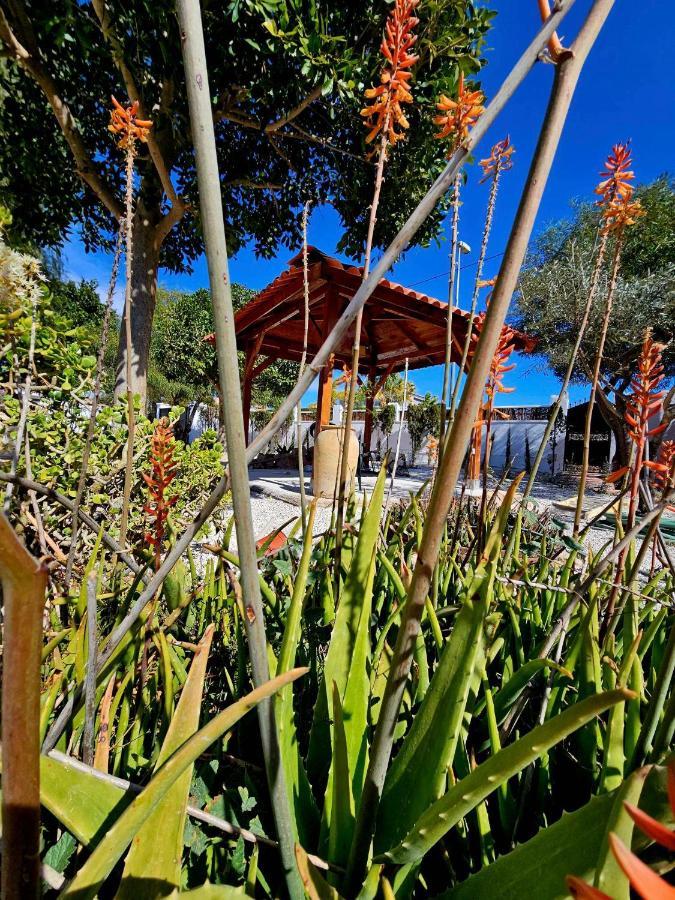 Chalet Alicante Sol Y Luz San Vicente Raspeig Zewnętrze zdjęcie